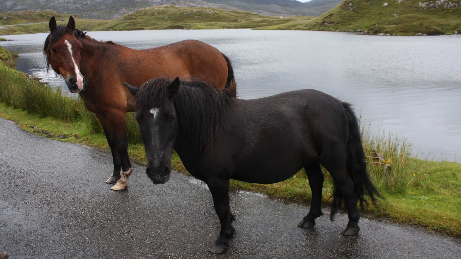 Grand Tour Of Scotland 17 Days / 16 Nights Scotland SelfDrive Tours Nordic Visitor Grand Tour Of Scotland 17 Days / 16 Nights Scotland SelfDrive Tours Nordic Visitor