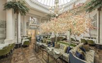 Palm Court at the Balmoral Hotel © Rocco Forte Hotels