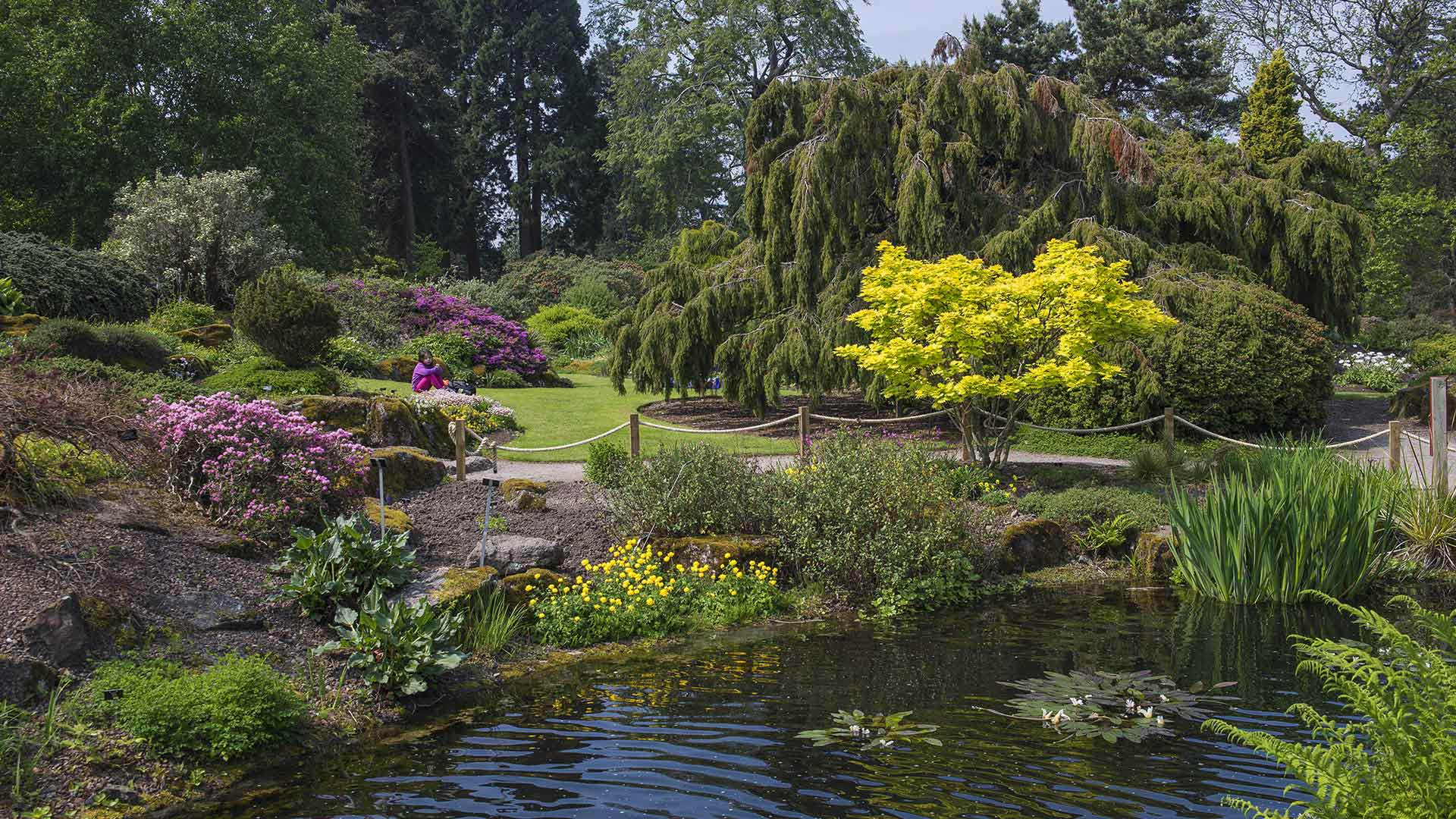 Royal Botanical Garden - ©Visitscotland - Kenny Lam